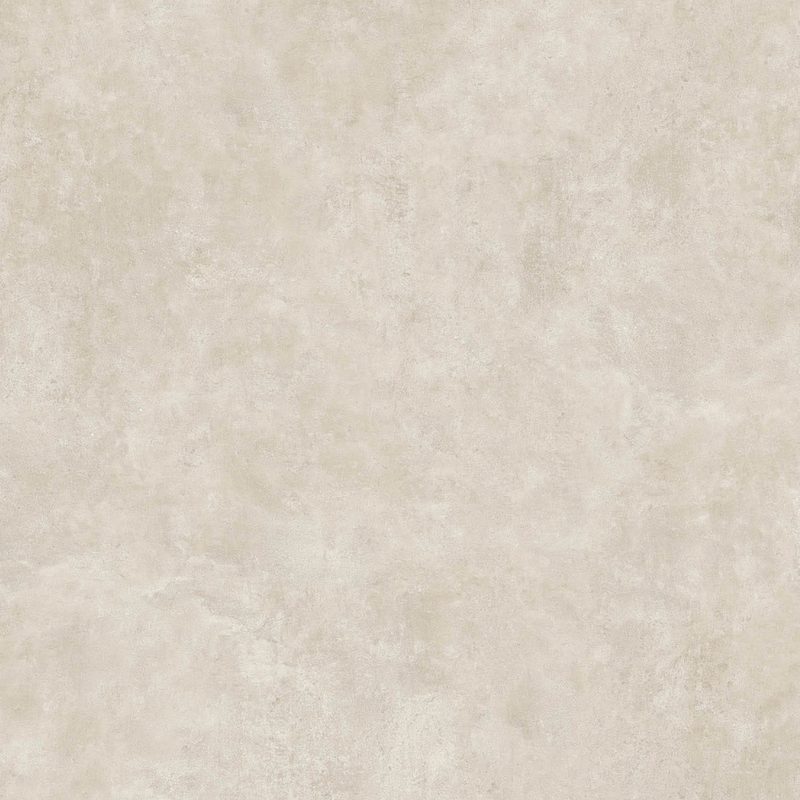 VISTA BONE
