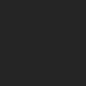 ABSOLUTE BLACK