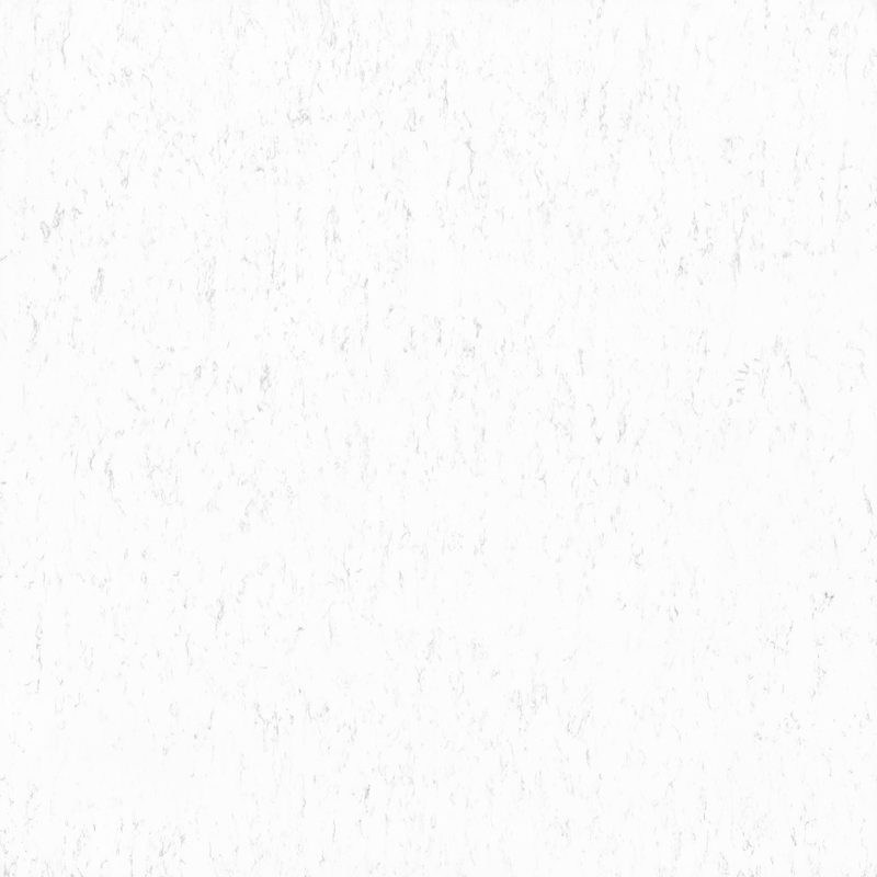 KASHMERA WHITE 4123