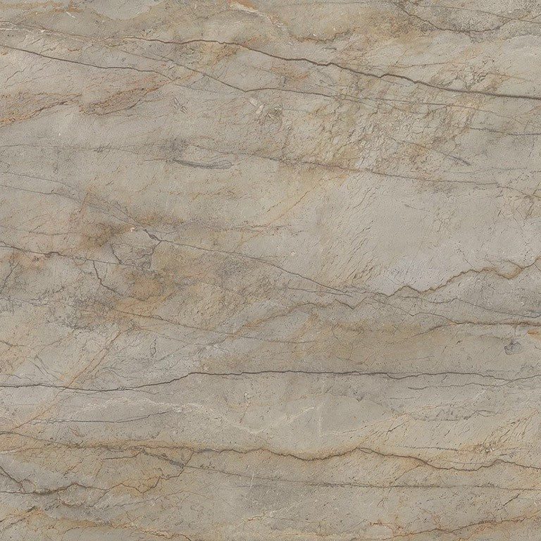 SILVER ROOT